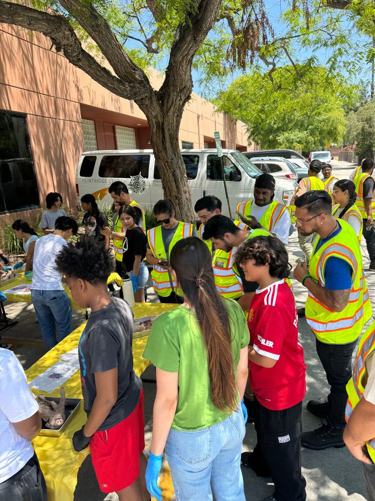 A crowd of students in safety vests gathered at outdoor dissection tables