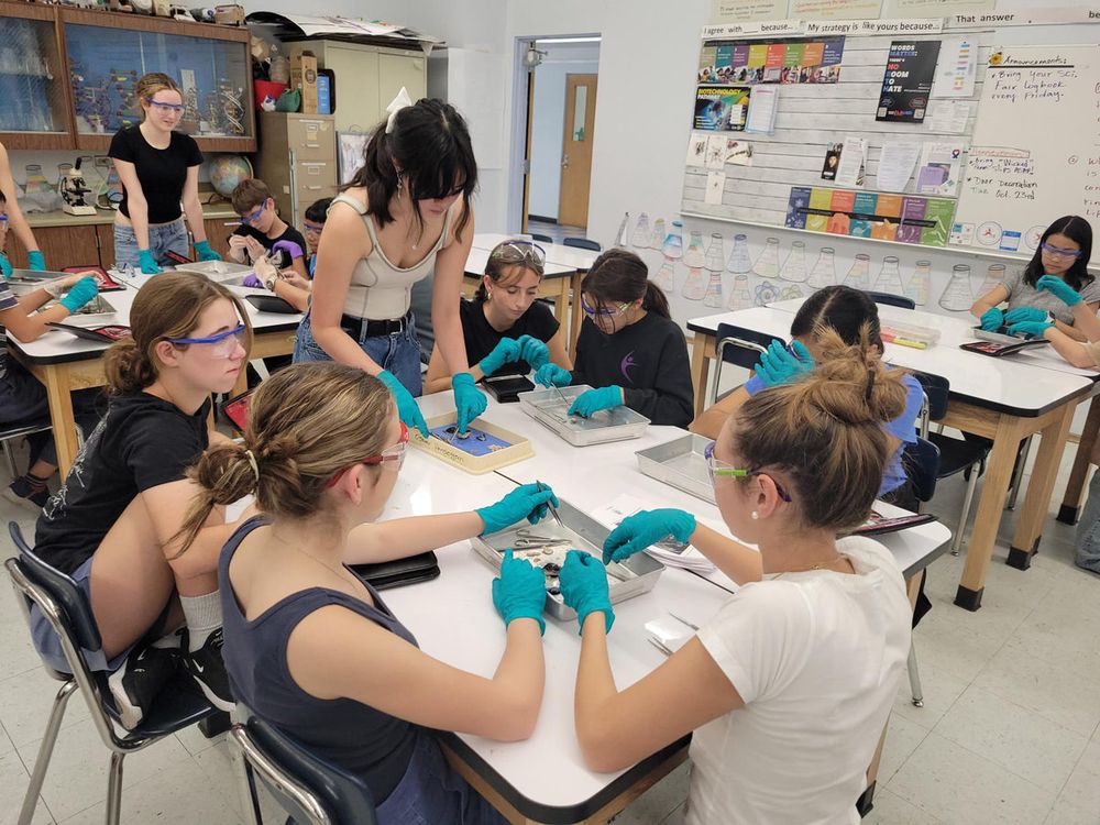 Students seated around a classroom table dissecting specimens