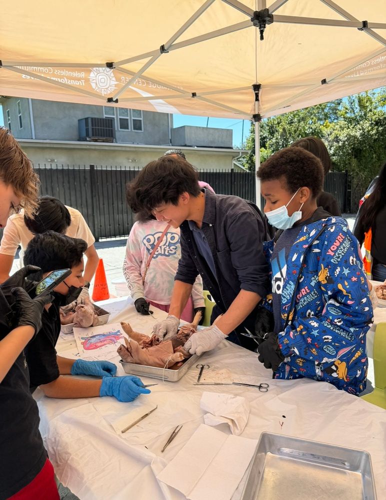 Students dissecting under a canopy outdoors