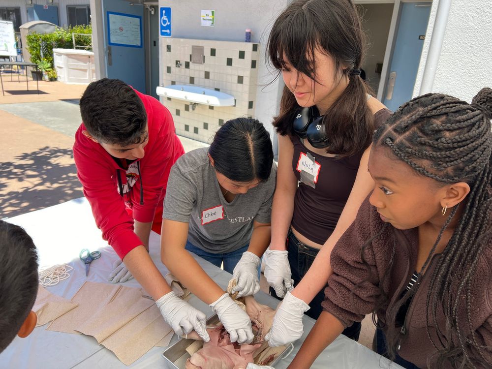 Students working on a dissection together at an outdoor table