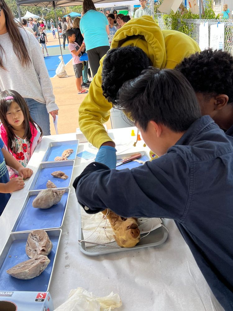 Students examining specimens in trays at an outdoor table