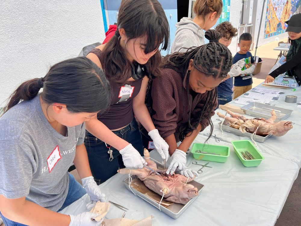 Students dissecting at a table while an instructor helps