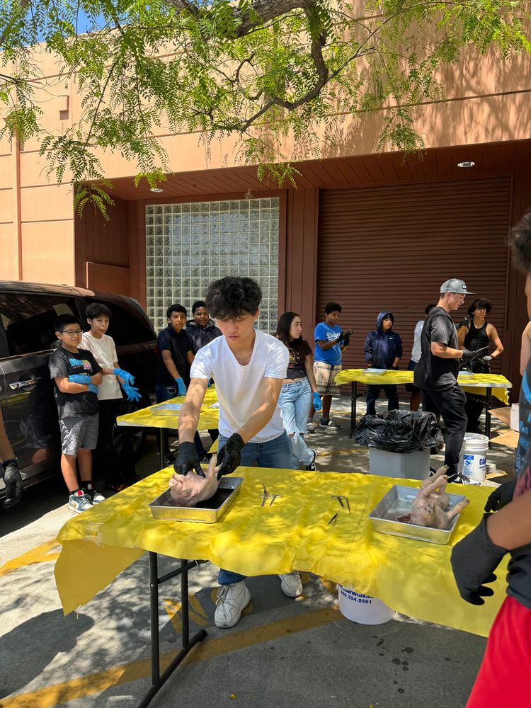 An instructor demonstrating at an outdoor dissection table