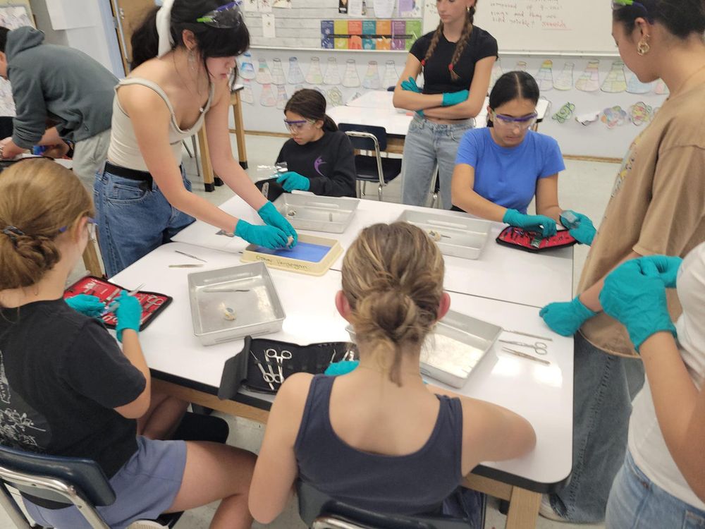Students in gloves dissecting in a classroom