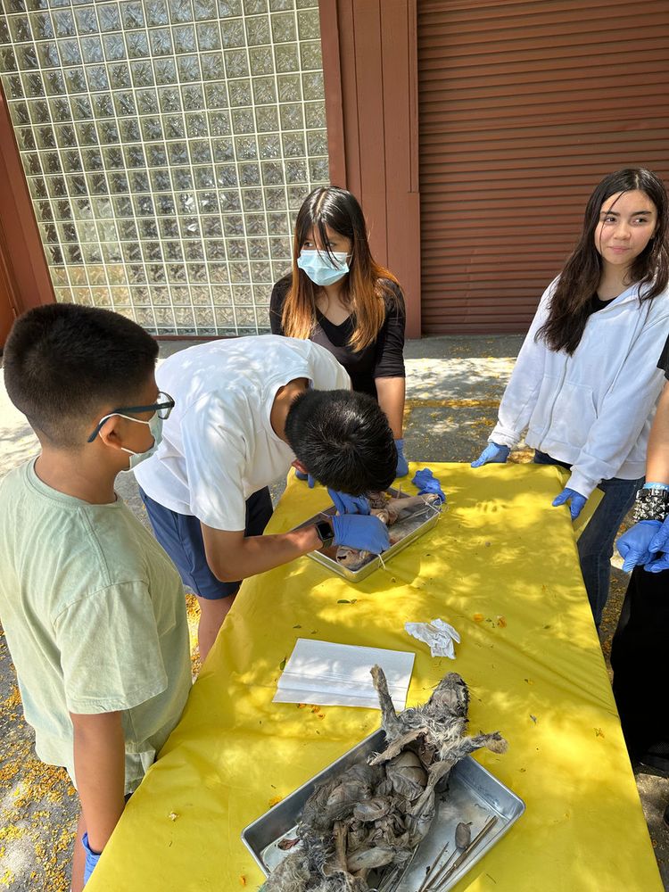 Students gathered around a yellow-covered dissection table