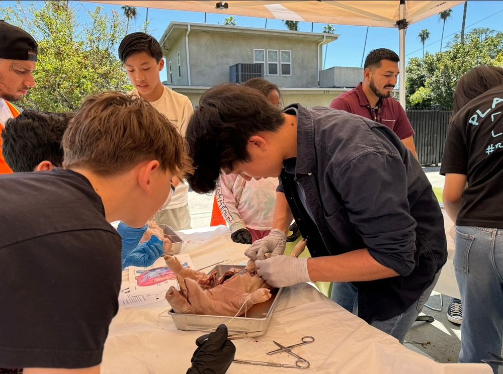 Students crowding around a dissection outdoors