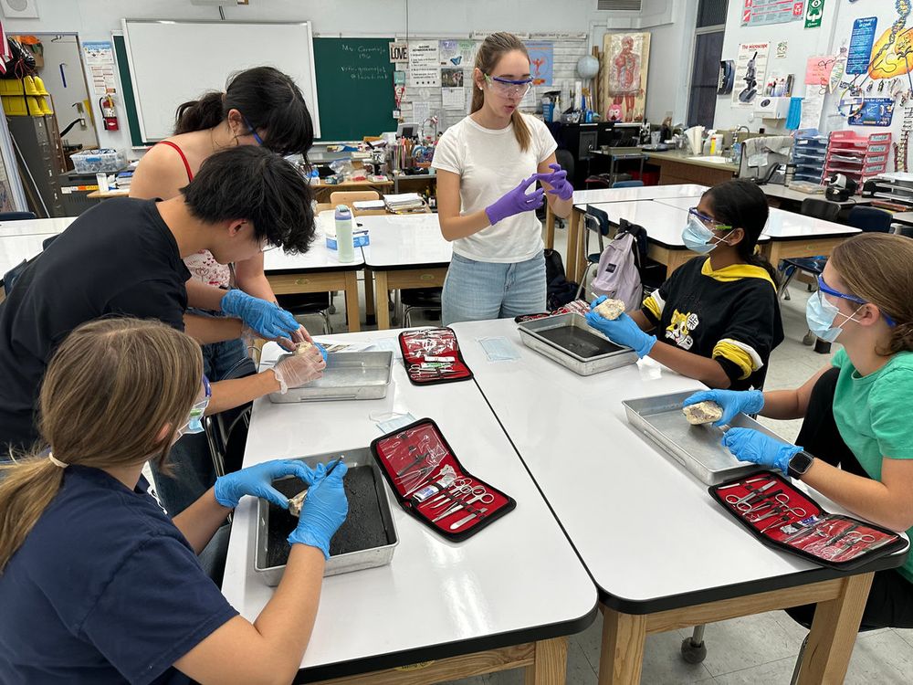 A classroom of students dissecting at lab tables