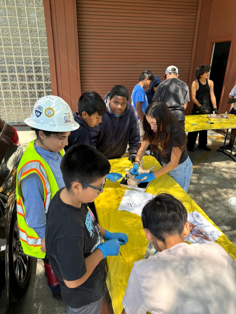 Students, one in a hard hat, at an outdoor dissection table