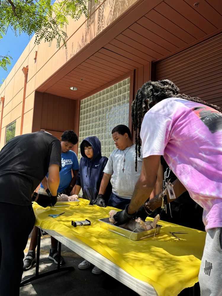 Students dissecting at a yellow table outside
