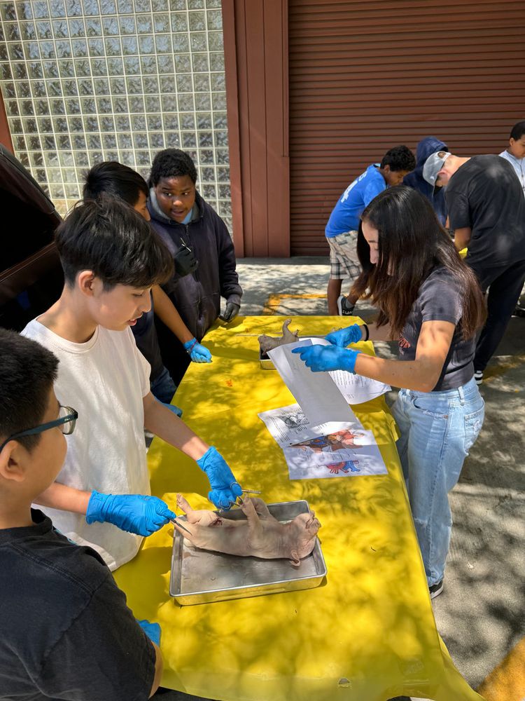 Students examining a specimen at an outdoor table