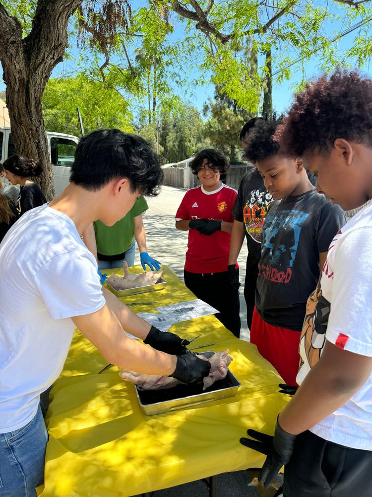 Students at an outdoor dissection under trees