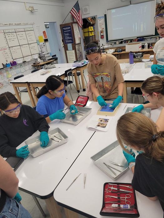 Students working in pairs on dissections in a school science classroom