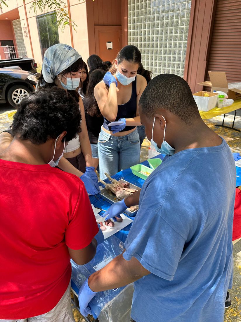 Masked students in gloves gathered around a dissection table outdoors