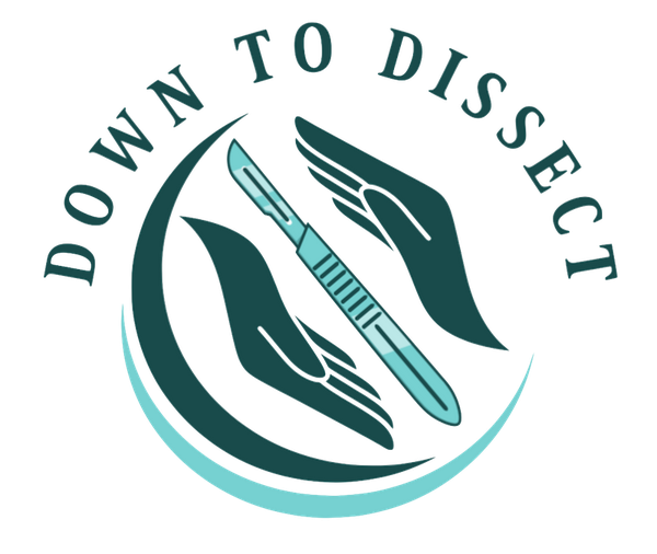 Down to Dissect logo: two hands holding a scalpel