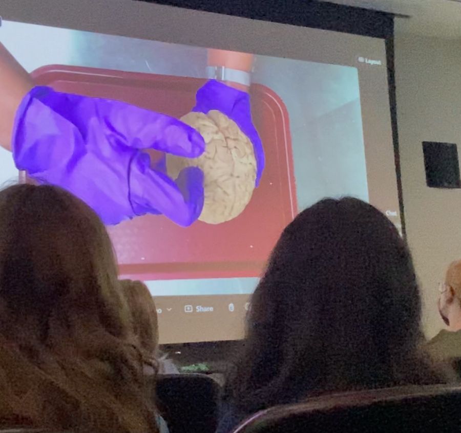 A gloved hand holding up a specimen, projected on a classroom screen during a virtual lab
