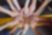 canva-group-of-hands-together-MAEUS1VjADk.jpg